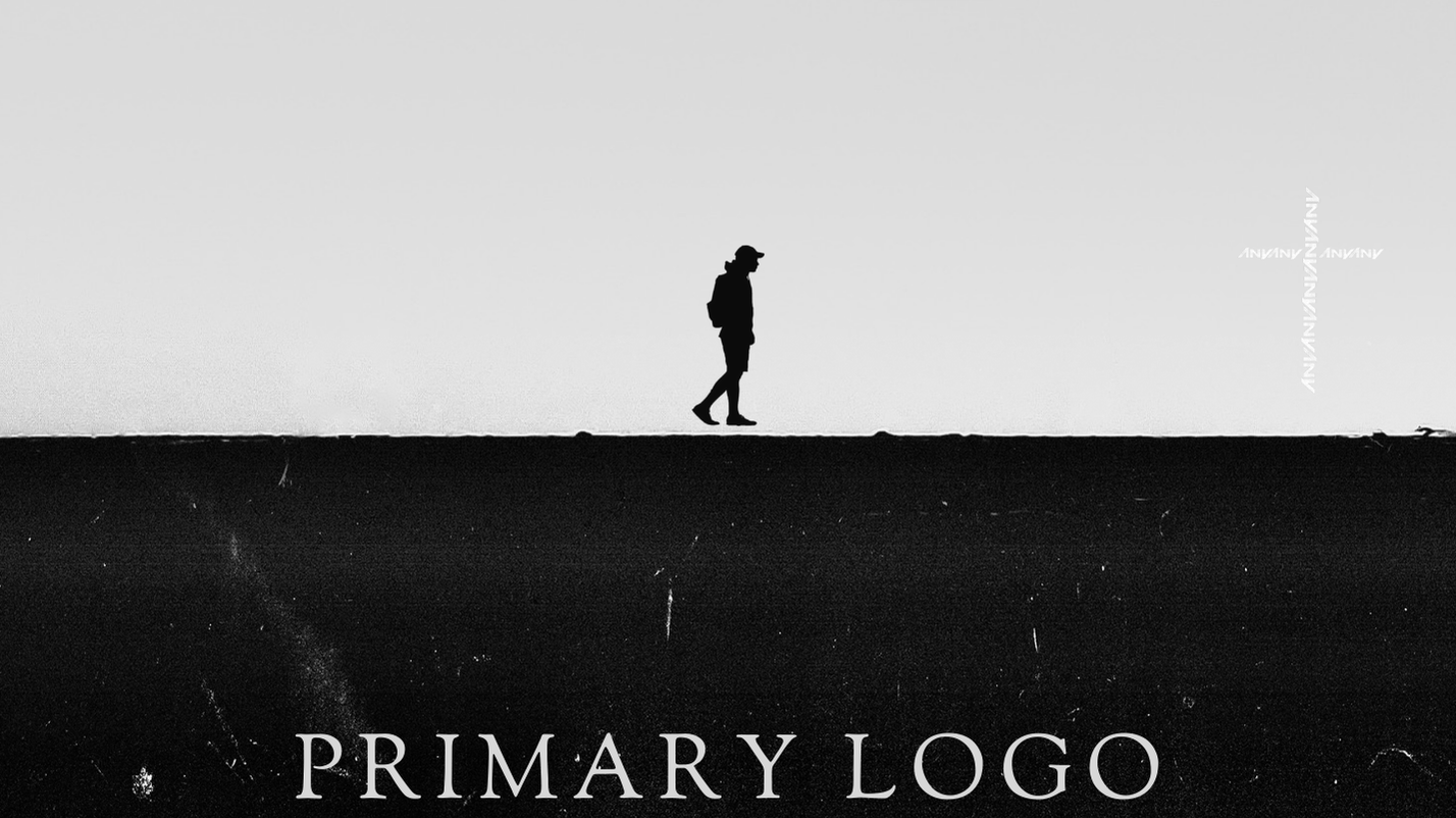 ANY Primary Logo Explained