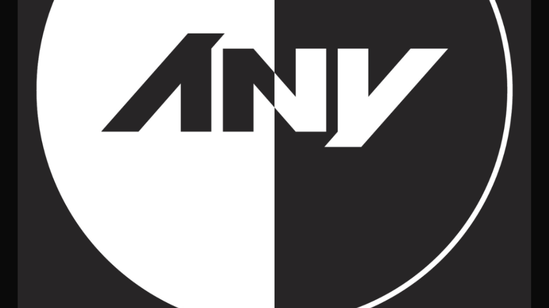 ANY Duality Logo Explained